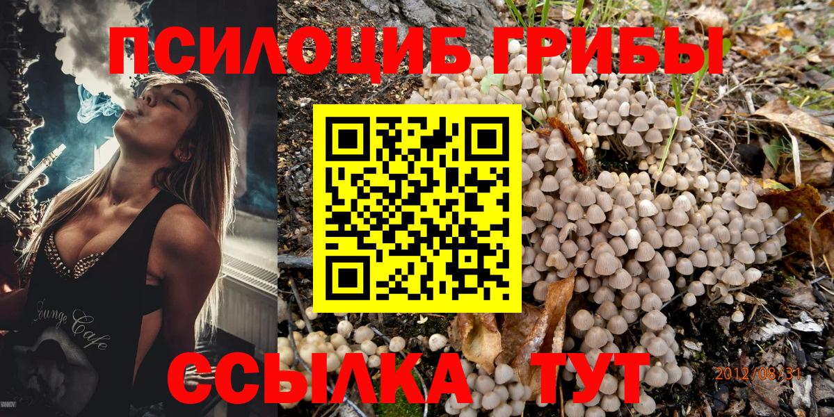 Галлюциногенные грибы Cubensis Сунжа