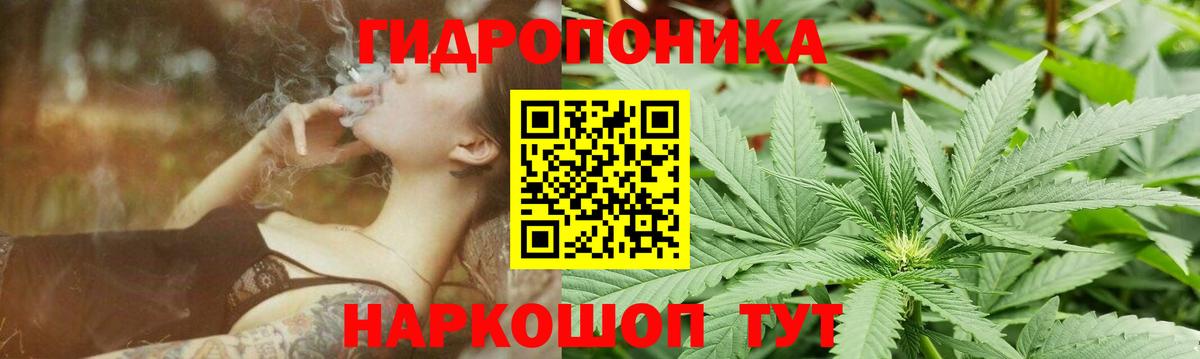Конопля White Widow  Марихуана SATIVA & INDICA  Вход с VPN  МАРИХУАНА VHQ  Сунжа  Марихуана AK-47 